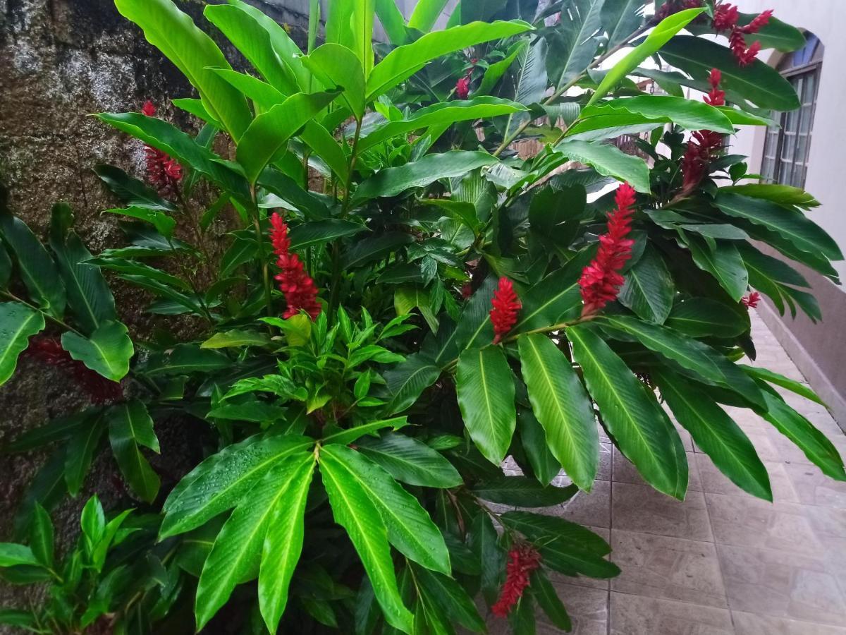 קרגואטטובה Lionfish Hostel מראה חיצוני תמונה